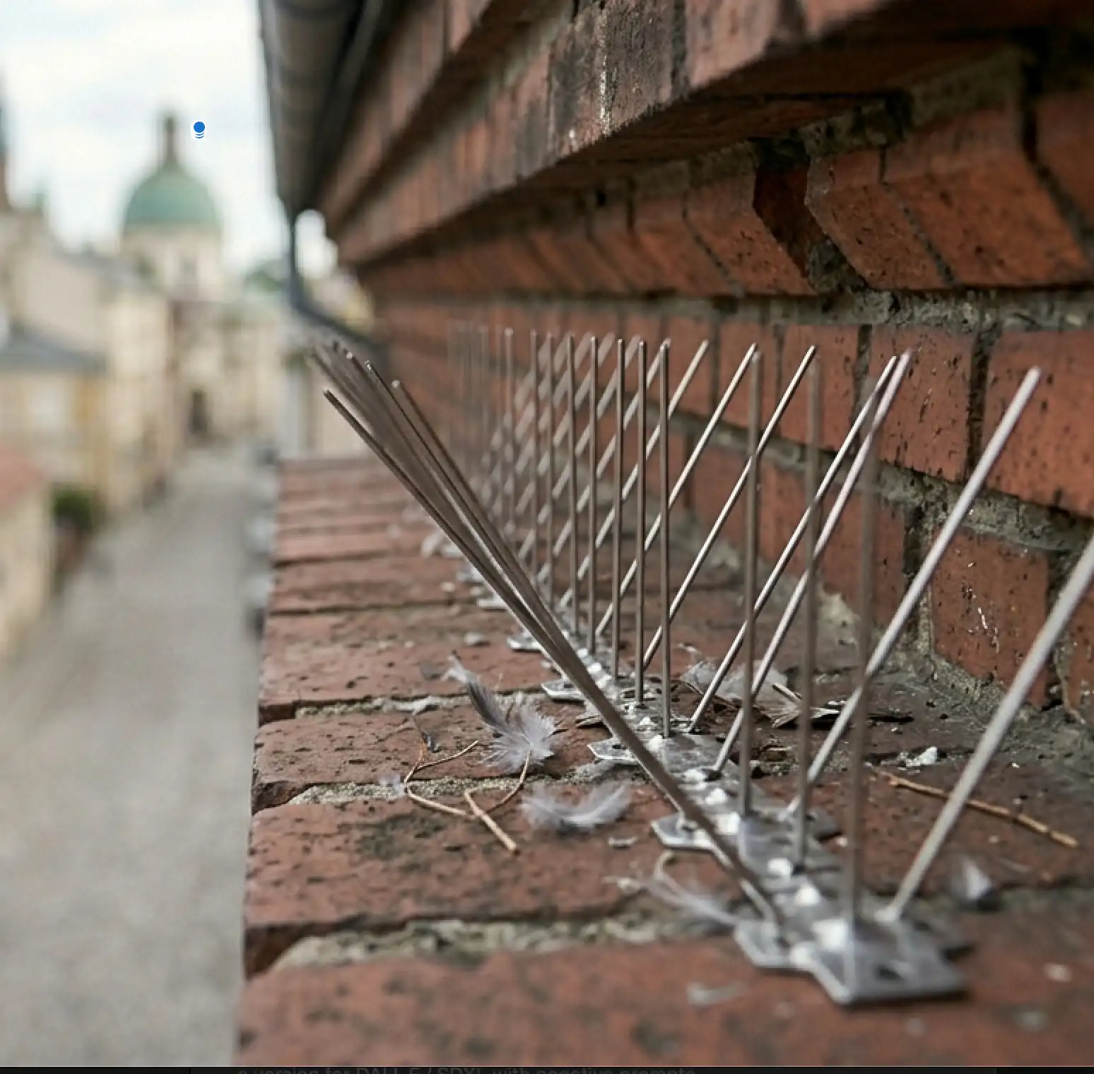 Kolce antygołębie zamontowane na budynku w Krakowie