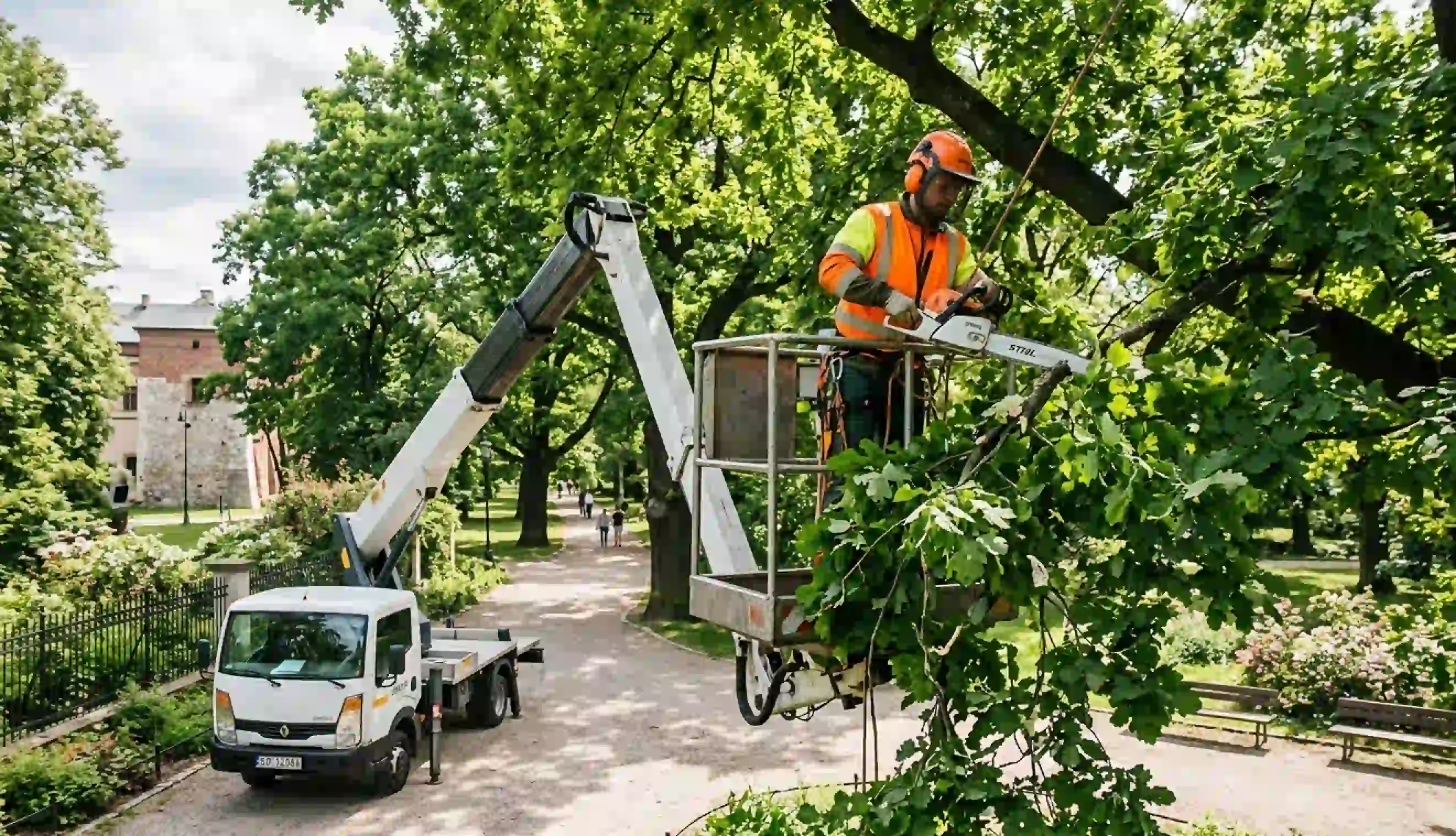 Arborystyka i wycinka drzew na wysokości w Krakowie